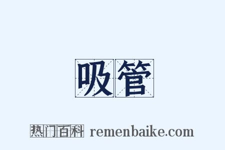 吸管是什么意思的图片